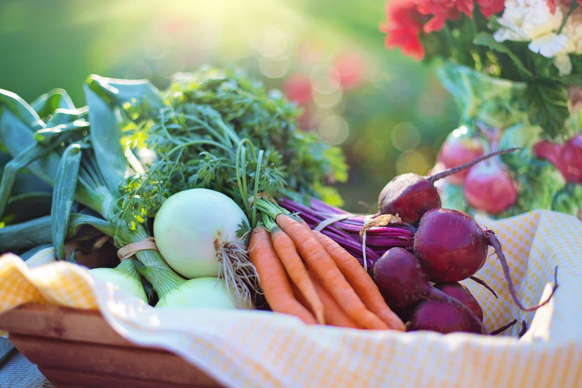 Basket of Vegatlbles for health, nutrition doctor